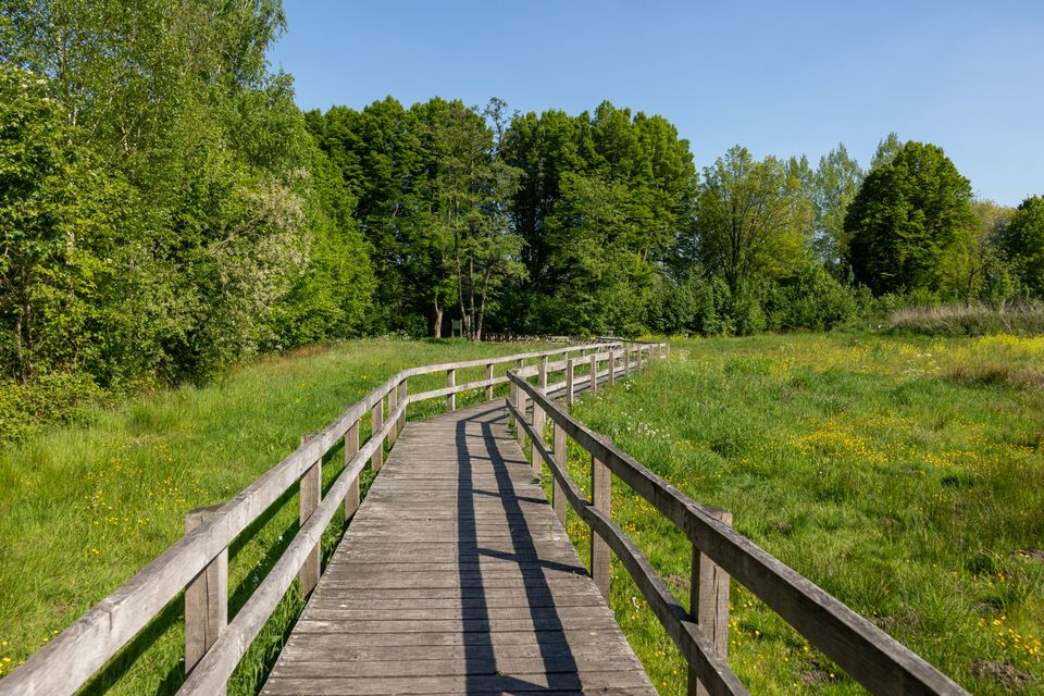 Vlonderpark