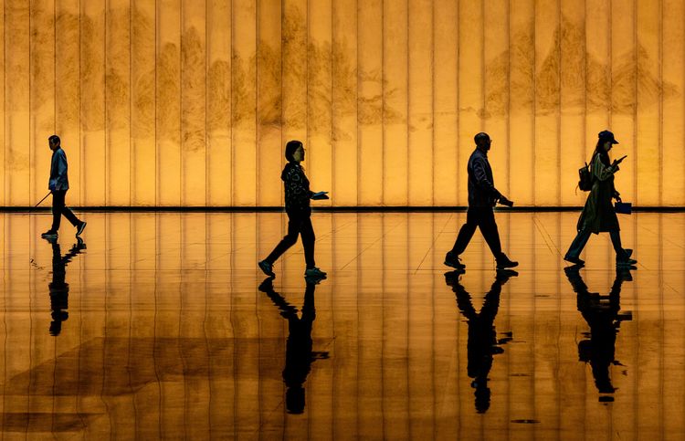 Tentoonstelling Optika 50 jaar bij De Wieger