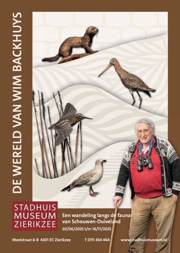 De wereld van Wim Backhuys