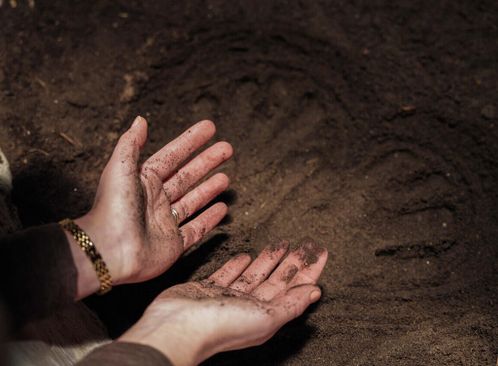 Winter aan zet – Aarderoeren