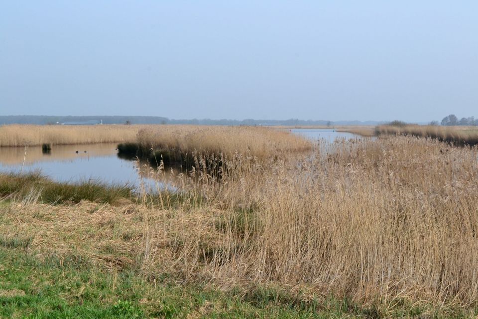 De Linde | Wandelroute