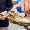 WadZicht excursie Texel