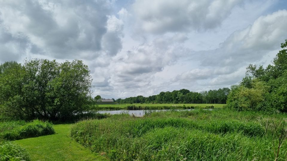 Uitzicht en zwemvijver Land van Een