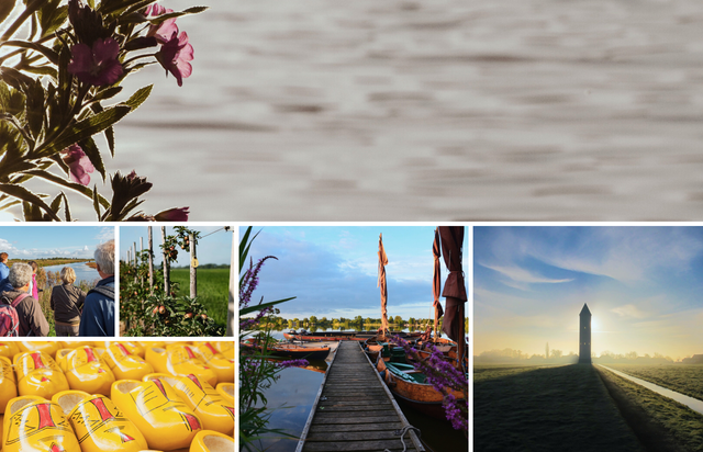Een collage aan diverse afbeeldingen uit het Groene Hart. Afbeeldingen met water, bloemen, klompen, boten, de potlood, en mensen tijdens een wandeling.