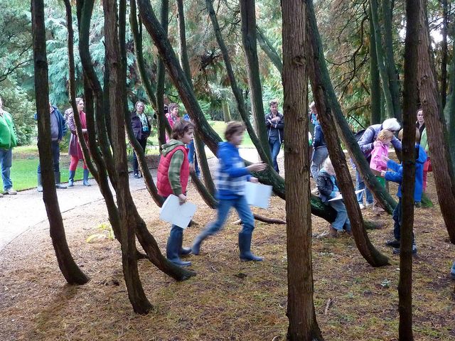 Kinderen in het Pinetum