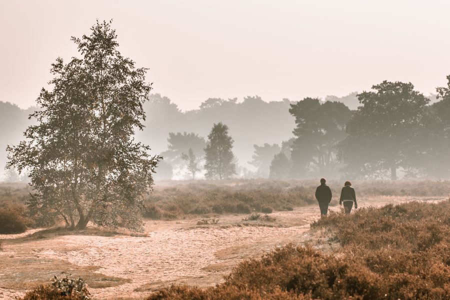 Wandelen in de natuur in Nederland