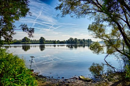 Biesbosch