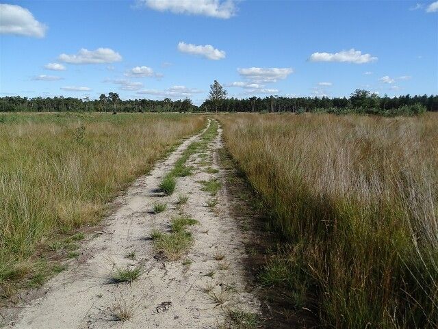wandelpad door Peelse Heide