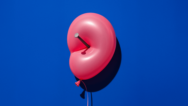 SALIX Kameropera: Over Tijd