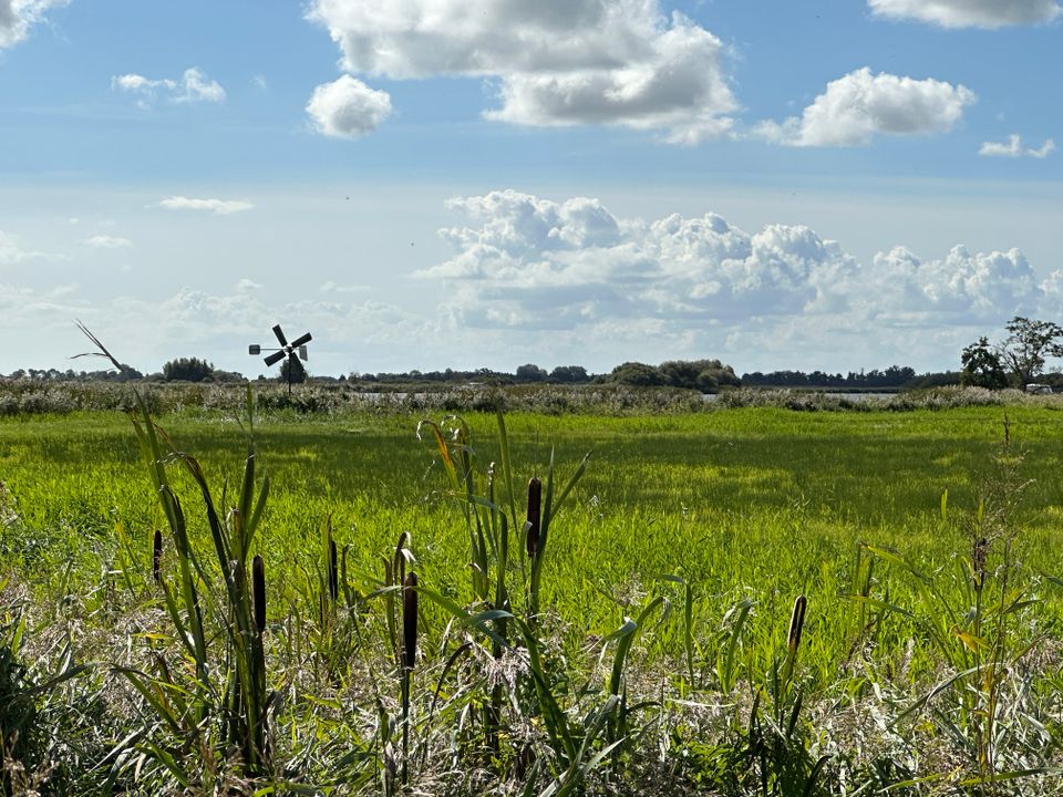Pontje-Wandelrondje Kop Bloksleat