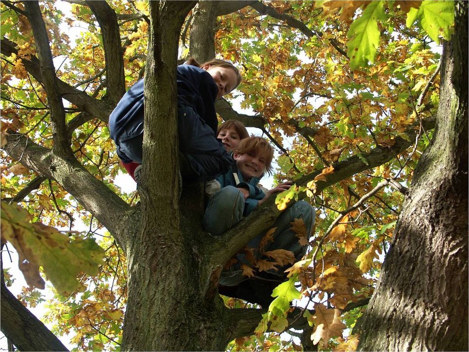 Heempark