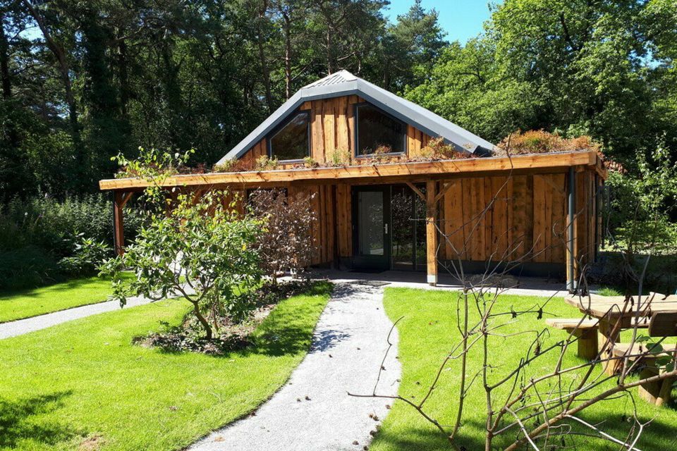 Houten vakantiehuisje omringd door bomen.