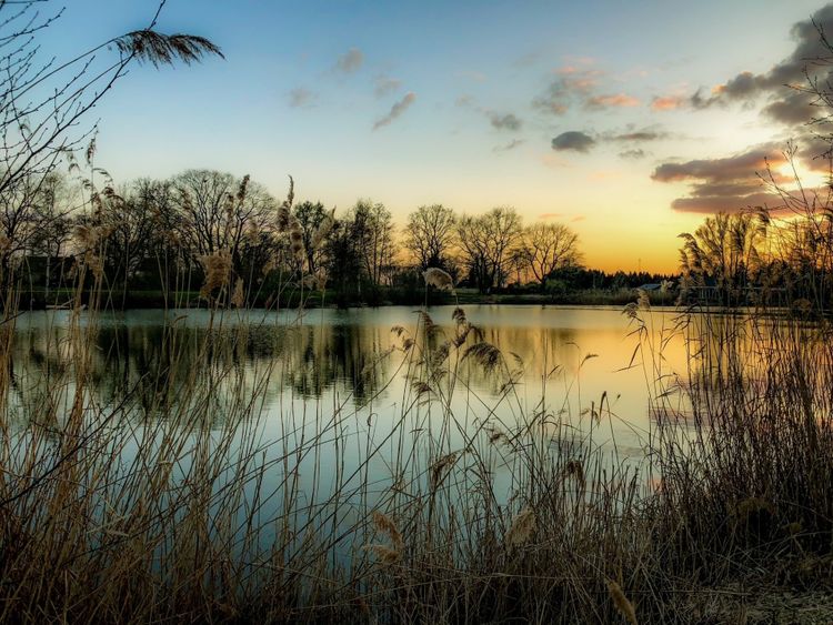 Fotoclub Optika: 50 jaar Focus - Exposities in Deurne