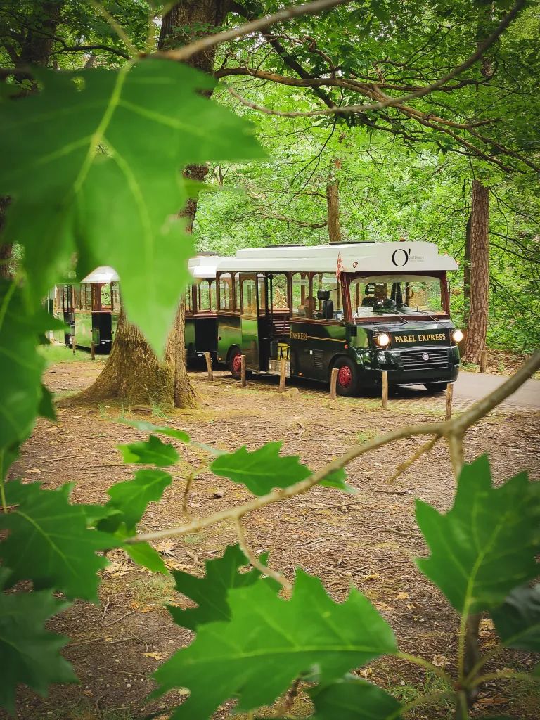 Toeristentrein de Parel Express in de bossen