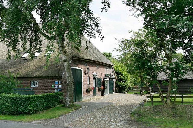 Ein authentischer Bauernhof mit einem Baum auf beiden Seiten des Auffahrtsweges.