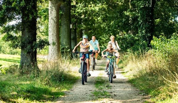 Heldense Bossen in Noord-Limburg
