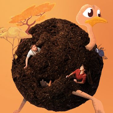 Lente-Uitjes: De Strekstruis (4+)