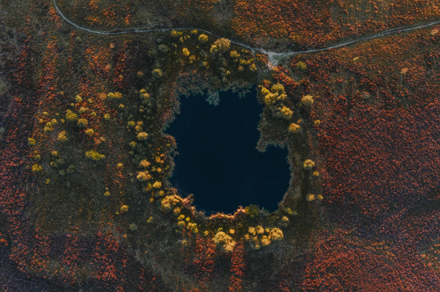 Eine Drohnenaufnahme einer Pingo-Ruine auf dem Ballooërveld, umgeben von violett blühender Heide.