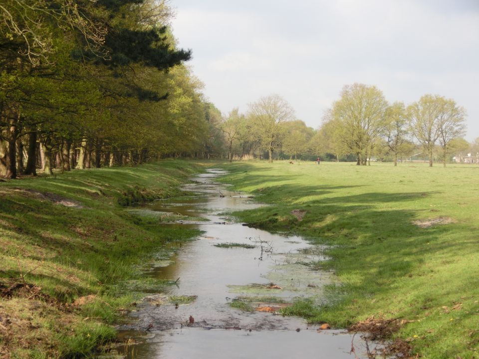 stukje oude grensrivier. Hoogteverschil oevers komt door de breukrand.