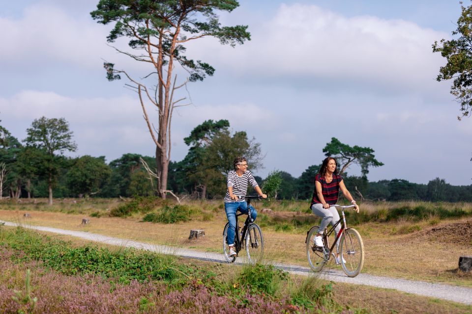 Een man en vrouw fietsen door de Drentse natuur.