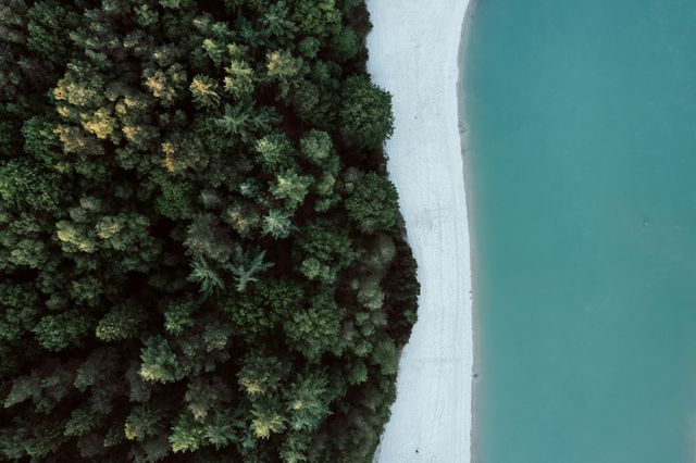 Eine Luftaufnahme des blauen Wassers des Gasseltervelds, des weißen Sandstrands und des angrenzenden grünen Waldes.