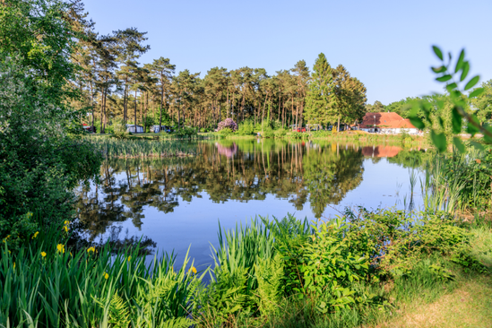 Vakantiepark Diana Heide