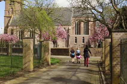 Kloosterwandeltocht roze bloessem