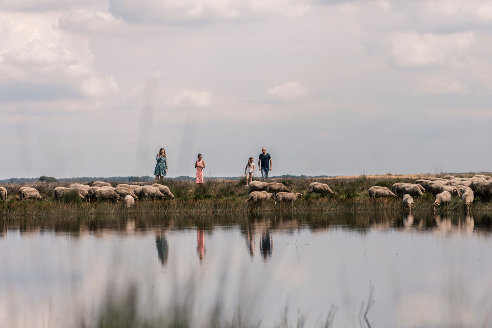 Schaapskooi Ruinen - Dwingelderveld