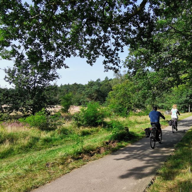 Fietsers in groene natuur