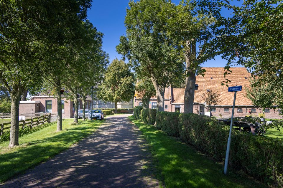 De buorren in Lytsewierrum