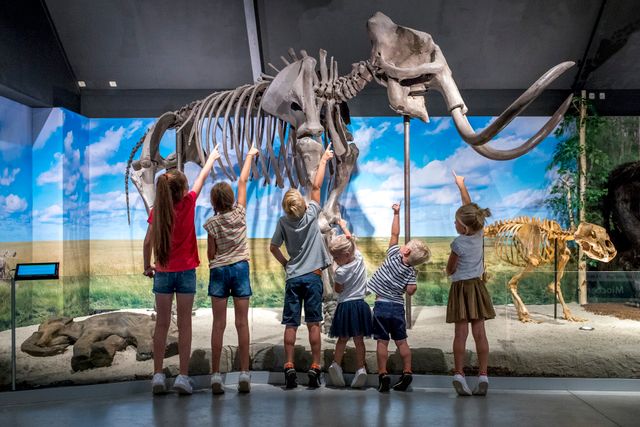 Mammoetskelet in museumzaal met 6 jonge kinderen die ernaar wijzen