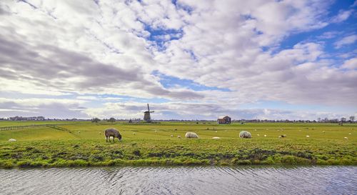 Foto van de Etersheimerbraak met de molen en het bezoekerscentrum.