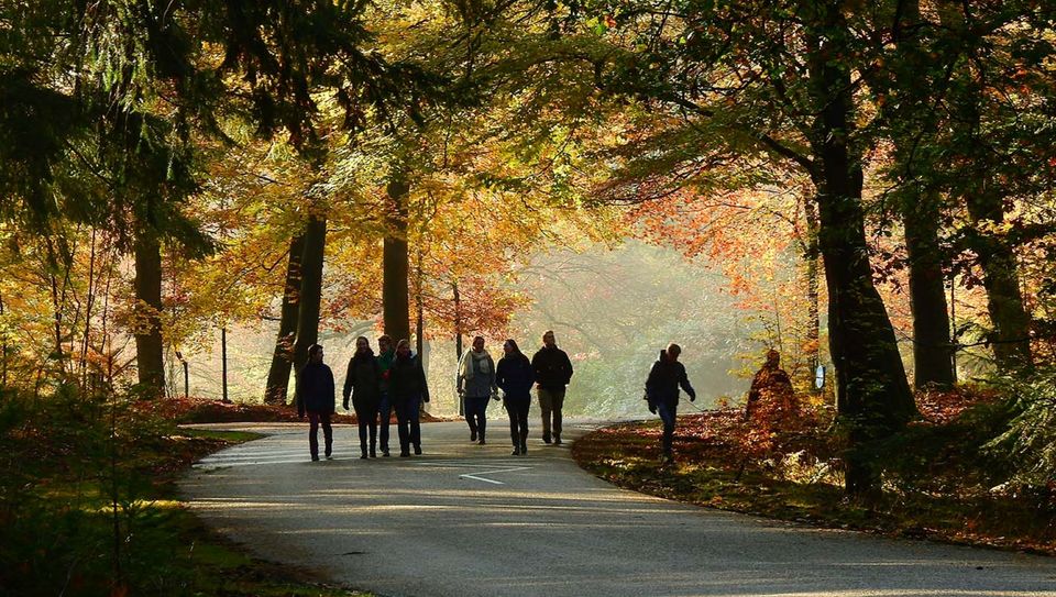 Natuur