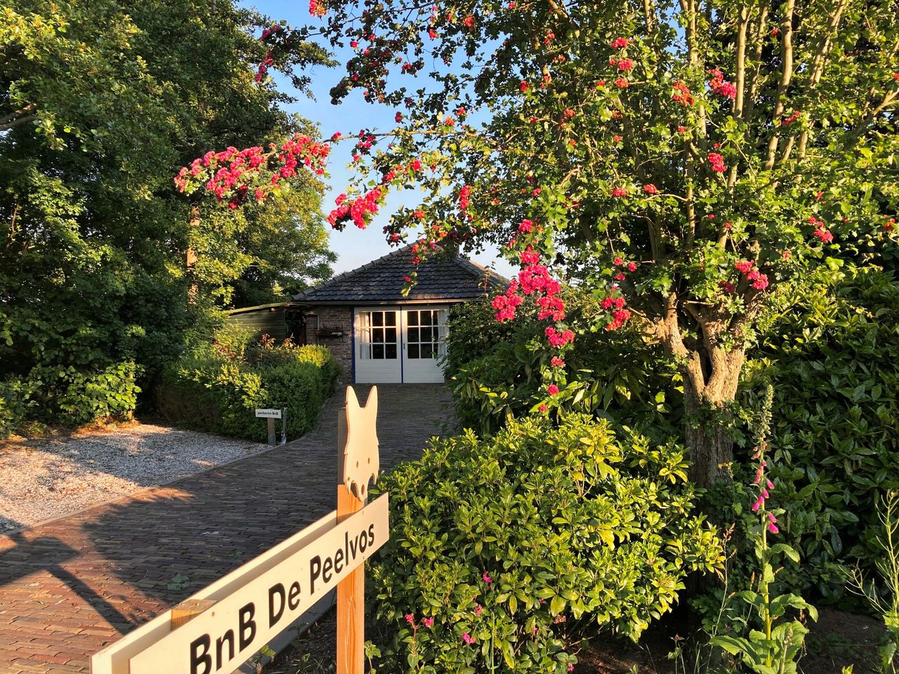 Bed and breakfast in het buitengebied van Deurne met ruimte en privacy