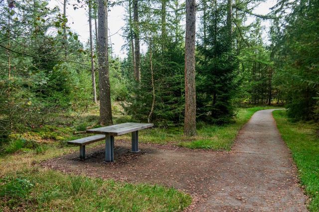 Eine rollstuhlgerechte Picknickbank steht entlang eines befestigten Weges in einem Wald in Drenthe.
