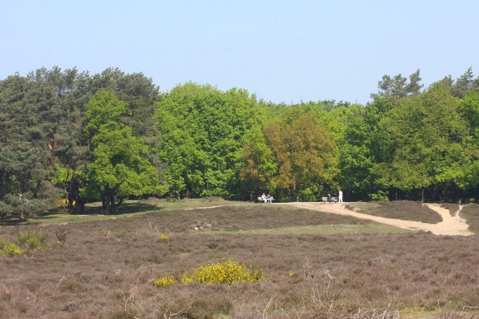 Flora en fauna van de Tafelbergheide door Paul van der Poel