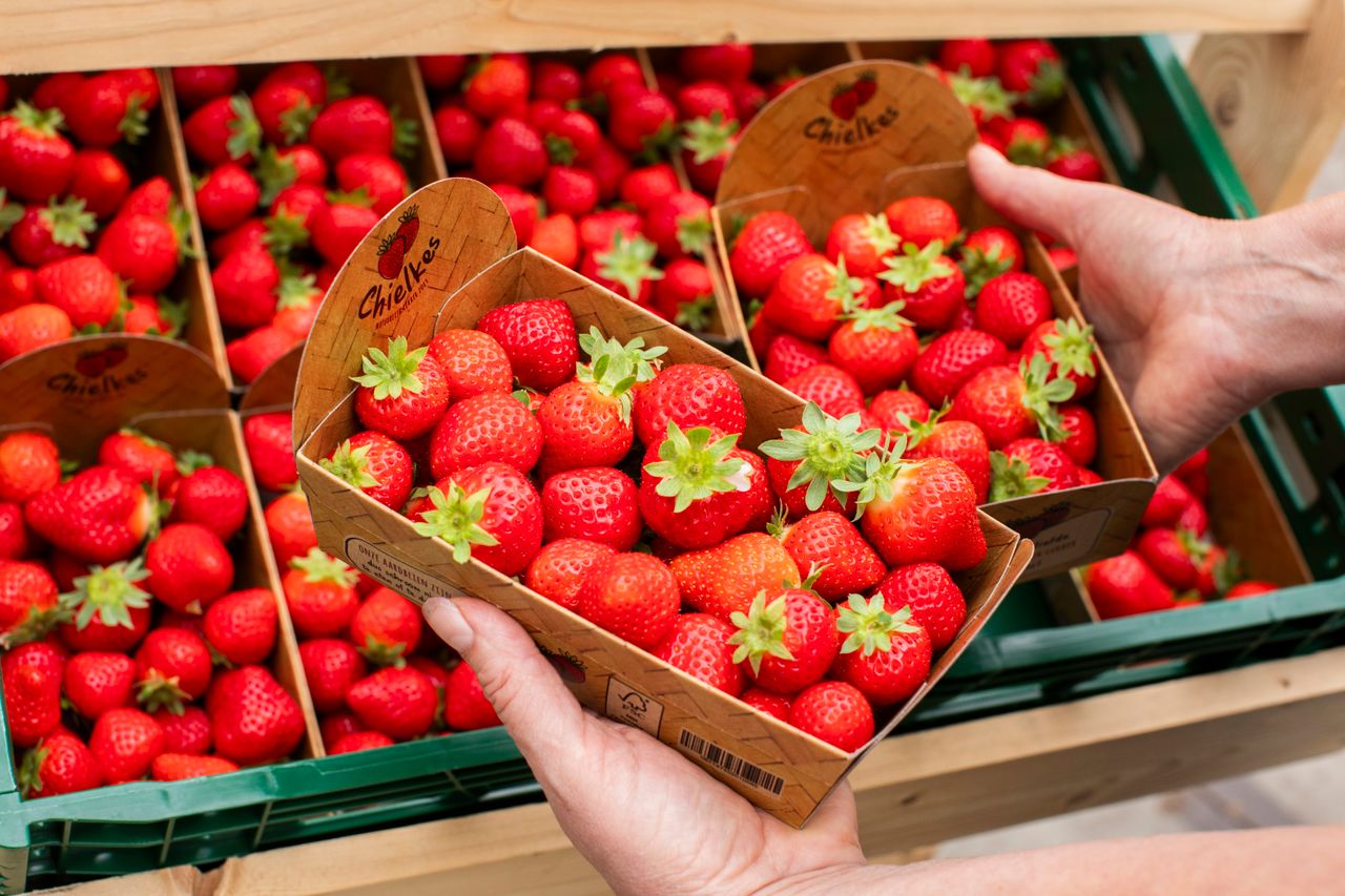 Chielkes Aardbeien Helenaveen