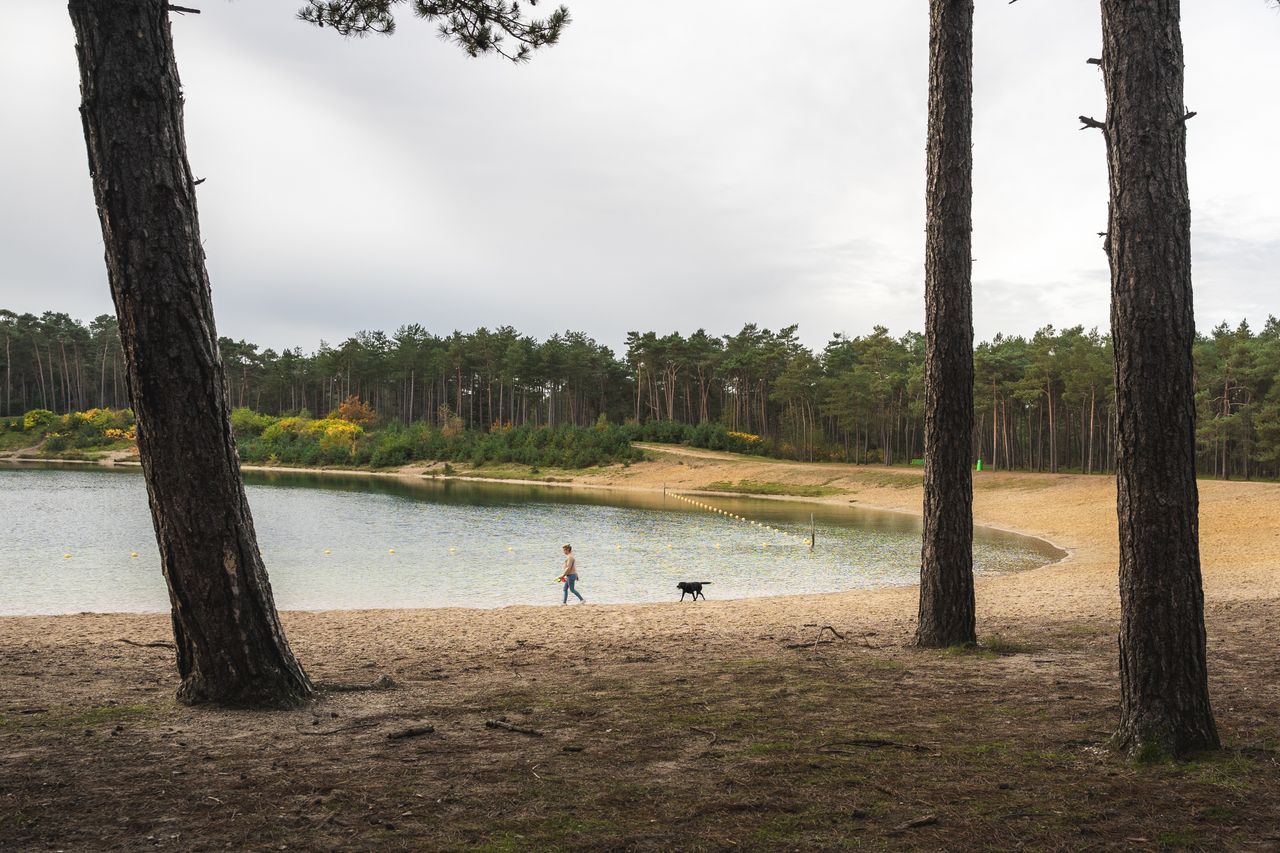 foto van Zandenplas met vrouw en hond op de achtergrond