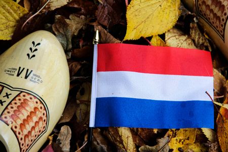 Learn Dutch by Luna Nguyen Atelier Almere Stad