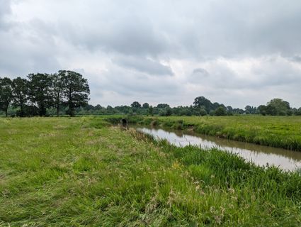 Landschap waarin de tankgracht lag bij landgoed Rhijnauwen op de Houtense Vlakte