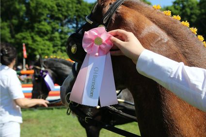 Concours Hippique Bennekom - Bezoek Ede