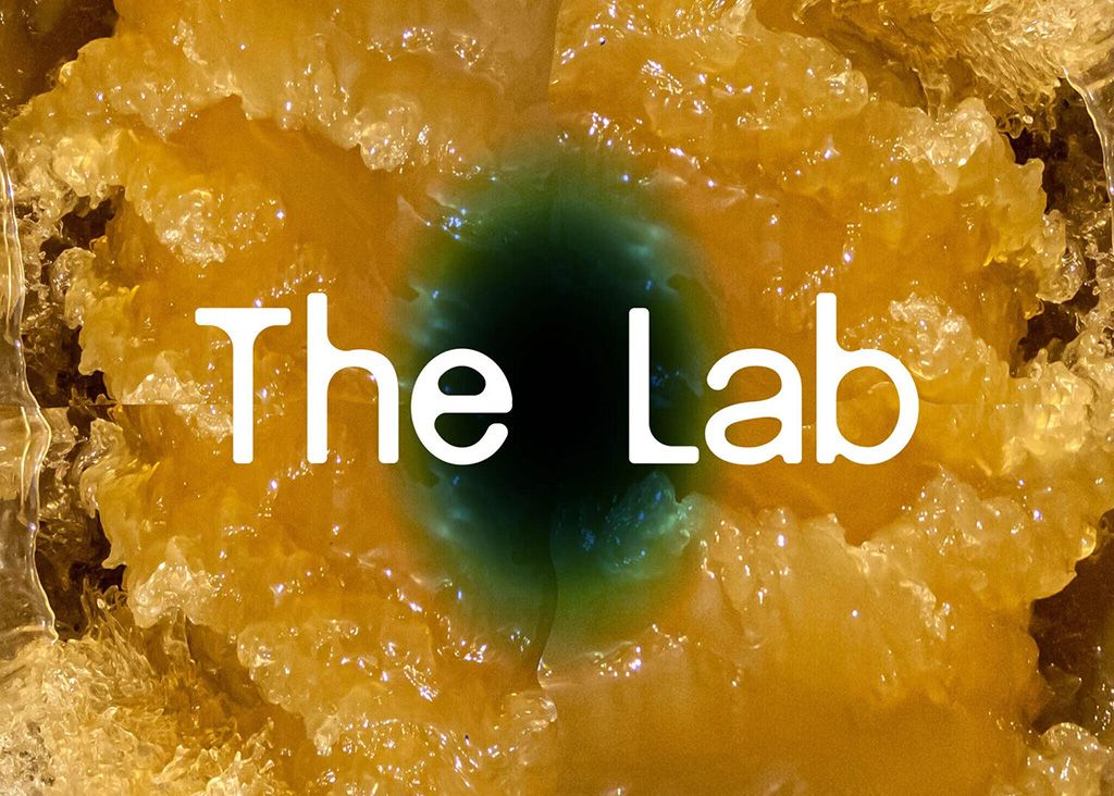 Annemijn Rijk: The Lab