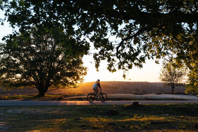 Man fietst op zijn ebike door een open natuurgebied waar de zon langzaam ondergaat