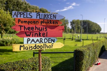 Boerderij Nieuw Slagmaat in Bunnik, Kromme Rijnstreek, met kleurrijke houten wegwijzers naar appels en pompoenen plukken, theehuis, winkel en paarden.