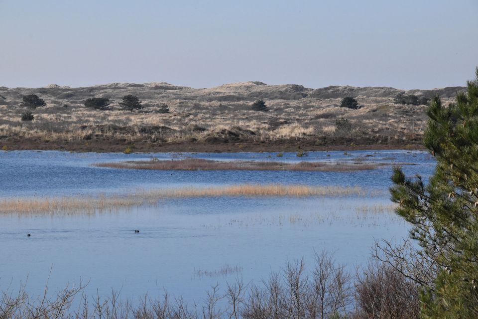 Vlieland Kooisplek voorjaar 2