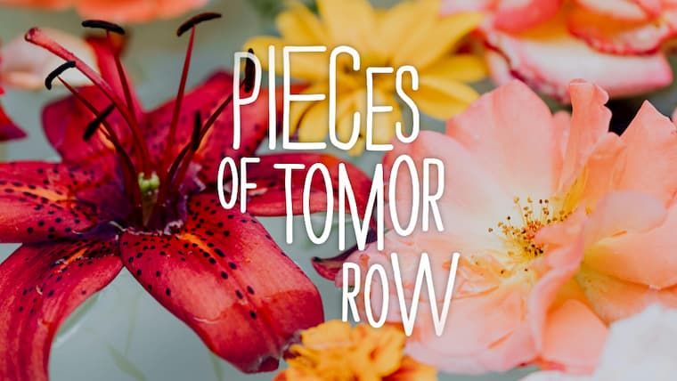 Pieces of Tomorrow - Ravels String Quartet