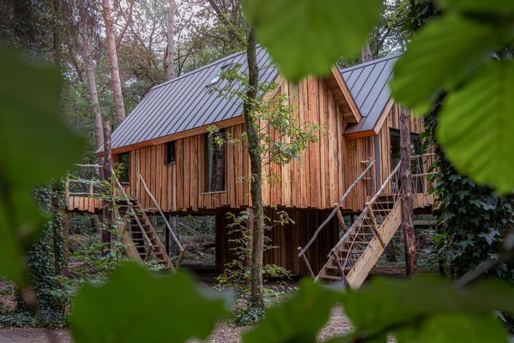 Boomhut Bed & Boshuisjes in Oisterwijk