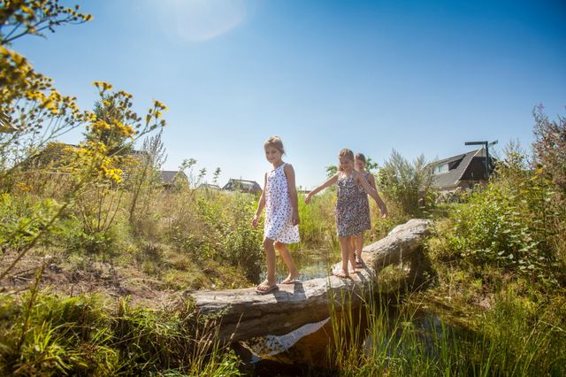Kinderen lopen over een boomstam en steken zo het water over op een bungalowpark.