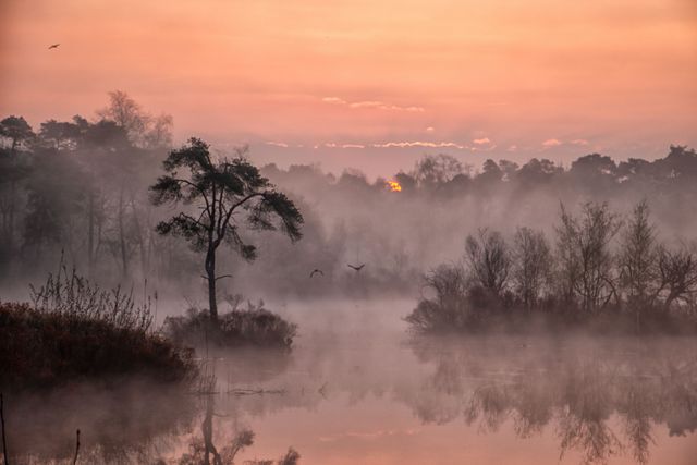 Zonsondergang bij ven in Oisterwijk