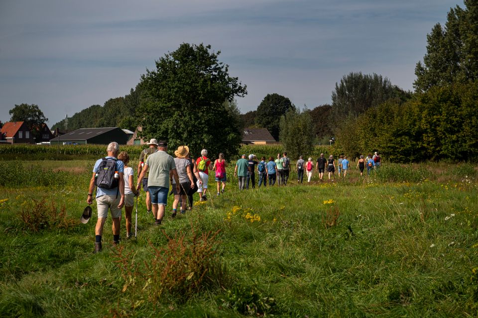 Groep wandelaars door weiland